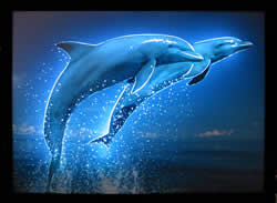 Bienvenidos a mi p&aacute;gina web n es xula pero ta bn jeje